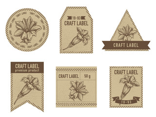 Craft labels with gentiana stock illustration