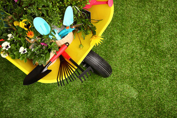 Poster - Wheelbarrow with flowers and gardening tools on grass, top view. Space for text