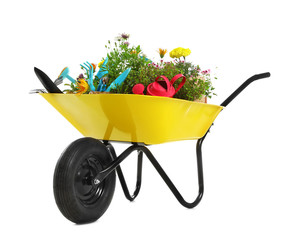 Wall Mural - Wheelbarrow with flowers and gardening tools isolated on white