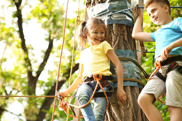 Canvas Print - Little children climbing in adventure park. Summer camp