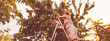 © Mihail - happy female gardener picks and collects new season harvest from the tree standing on the ladder