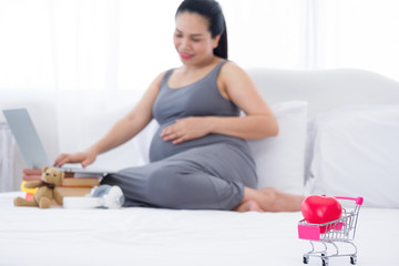 Blurred Pregnant woman using laptop on bed.