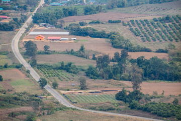 Empty road on the countryside