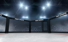 3D Render MMA Arena. MMA Octagon Cages.