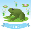 Cute frog cartoon. Cartoon frog sitting on the lily water. Water lily leaf and flower, Vector illustration