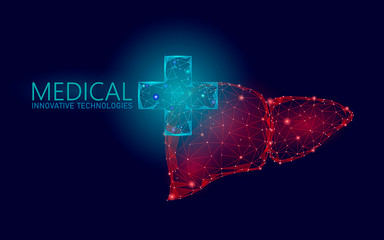 Wall Mural - Medical cross symbol liver doctor online concept. Medical consultation app. Web healthcare diagnosis drugstore network banner. Delivery market background low poly vector