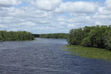 Fototapeta Sypialnia - Black Creek river in Florida Clay county