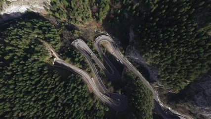 Wall Mural - Drone view of winding forest road in the middle of Bicaz Gorge, Transylvania