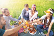 © Pixel-Shot - Diverse young friends toasting with refreshing drinks at outdoor summer picnic in sunny green grass field, they are sitting on a blanket spread over green grass, surrounded by various food items like