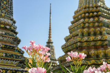 Flower,Pagoda and Blue Sky in Wat Pho, Bangkok Thailand.