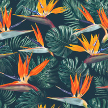 Seamless Pattern With Tropical Flowers And Leaves. Strelitzia Flowers, Monstera And Palm Leaves. Realistic Style, Hand Drawn, Vector. Background For Prints, Fabric, Wallpapers, Poster, Wrapping Paper.