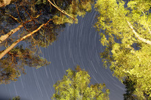 Bourgogne. Yonne (89). Region Of Saint Fargeau And Boutissaint. Rare Night Image Showing The Stars From The Heart Of The Forest. Star Trails (1 Hour).