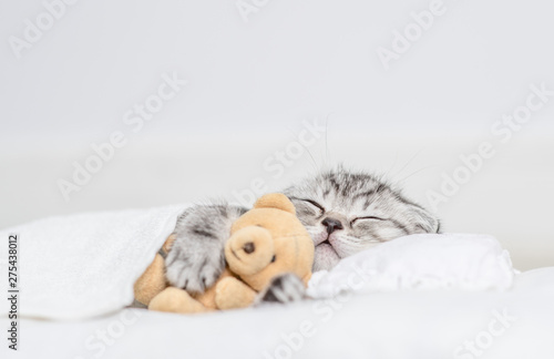 Fotomural Tabby kitten sleeping with toy bear on pillow under blanket