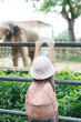 © makistock - Children feed Asian elephants in tropical safari park during summer vacation. Kids watch animals