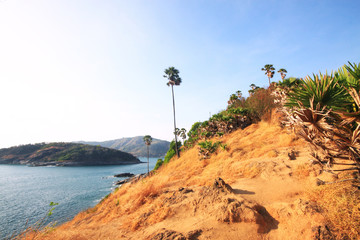 Beautiful seascape with sky twilight of sunset and Palm tree with Dry grass field on mountain of Phrom Thep Cape in Phuket island, Thailand.