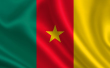 An Image Of The Flag Of The Cameroon. Series "Africa"