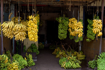 Banana shop in the market in India.