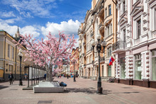 Arbat Street In Moscow