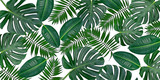Fototapeta Do pokoju - Horizontal artwork composition of trendy tropical green leaves - monstera, palm and ficus elastica isolated on white background (mixed).