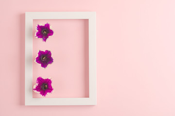 Wall Mural - Beautiful pink flowers and frame on pinky background. Top view, copy space.