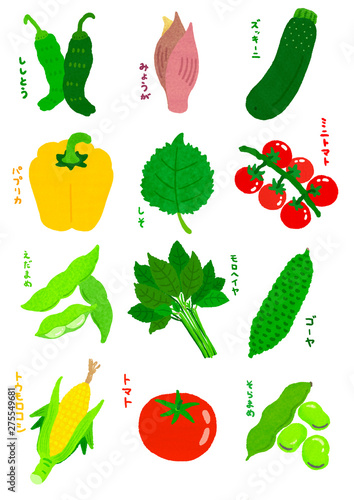 夏野菜 Japanese Summer Vegetables Stock イラスト Adobe Stock