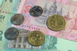 Ukrainian money. Fifty kopecks. One, ten and twenty hryvnia. Сoins and bills. Cash. Uah.