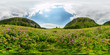 Field of blue flowers in the mountains on a cloudy day. Spherical 360-degree vr panorama