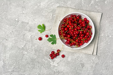 Wall Mural - Fresh red currant berry in white bowl on gray