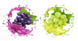 Red and white wine grapes and juice splash. Realistic vector icon set