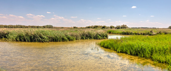 Wall Mural - Tablas de Daimiel National Park, Spain