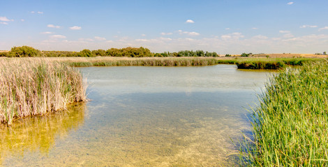 Wall Mural - Tablas de Daimiel National Park, Spain