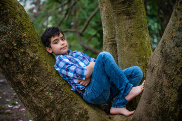 Boy sitting in tree