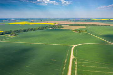 Wall Mural - Agricultural fields in spring time.