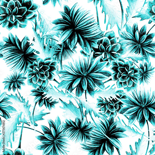 Summer, autumn flower chrysanthemum, field, garden beautiful plants, hand dra...