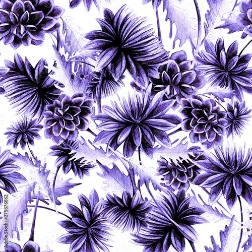 Summer, autumn flower chrysanthemum, field, garden beautiful plants, hand dra...