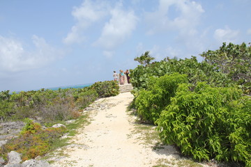 Wall Mural - grand cayman island beach summer