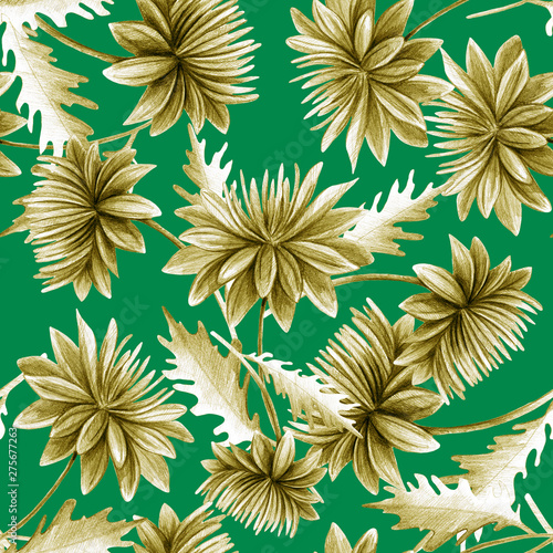 Summer, autumn flower chrysanthemum, field, garden beautiful plants, hand dra...