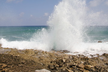 Wall Mural - grand cayman island beach summer