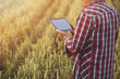 © VAKSMANV - Smart farming, man using modern technologies in agriculture