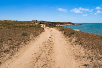 Wall Mural - Dirt road along the sea coast