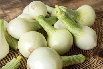 White young onion.