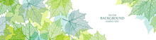 Background With Blue And Green Maple Leaves. Nature Banner. Frame With Plants. Template For Invitation And Greeting Card