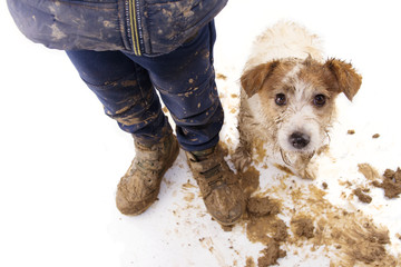 Wall Mural - Dirty dog and kid. Guilty jack russell and boy wearing muddy cloth and shoes. Isolated on white background.