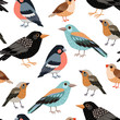 Seamless pattern with birds. Freehand drawing