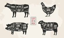 Set Of Meat Diagrams. Cuts Of Meat. Cow, Chicken, Pig And Sheep Silhouette. Vintage Posters For Groceries, Butcher Shop, Meat Store. Vector Illustration