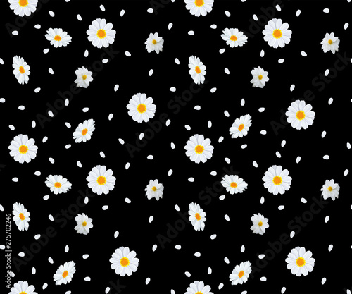 seamless daisy flower and leaf pattern