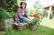 © nenadaksic - Gorgeous Caucasian brunette dressed in work wear and with hat and gloves planting pelargonium in her backyard.