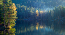 Morning Light Shining On Autumn Golden Trees At A  Forest Lake