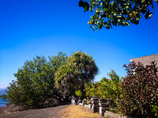 Tropical Beachfront Garden View In The Dry Season On A Sunny Day At The Village, Umeanyar, North Bali, Indonesia