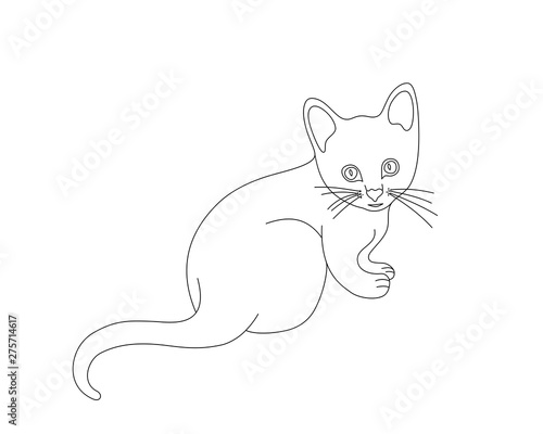 Kitten Colouring In Picture : 1 : Though they will continue to develop